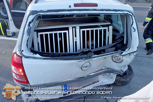 20151113 VU A2 Kottingbrunn RFb Süd  Foto: © Freiwillige Feuerwrhr Baden-Leesdorf
