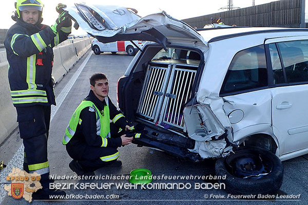 20151113 VU A2 Kottingbrunn RFb Süd  Foto: © Freiwillige Feuerwrhr Baden-Leesdorf