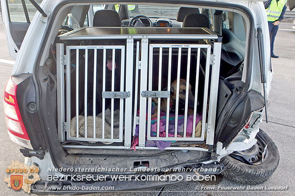 20151113 VU A2 Kottingbrunn RFb Süd  Foto: © Freiwillige Feuerwrhr Baden-Leesdorf