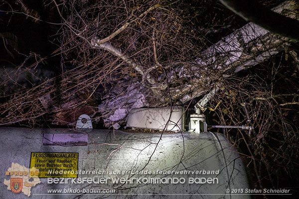 20151201_Sturmeinsatz_Baum auf Fluessiggastank gestuerzt in Baden Foto: © Stefan Schneider 20151201_Sturmeinsatz_Baum auf Fluessiggastank gestuerzt in Baden Foto: © Stefan Schneider