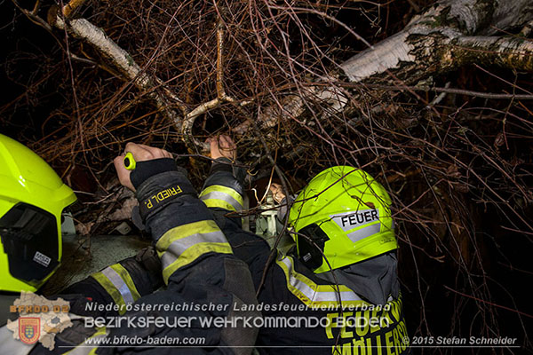 20151201_Sturmeinsatz_Baum auf Fluessiggastank gestuerzt in Baden Foto: © Stefan Schneider 20151201_Sturmeinsatz_Baum auf Fluessiggastank gestuerzt in Baden Foto: © Stefan Schneider