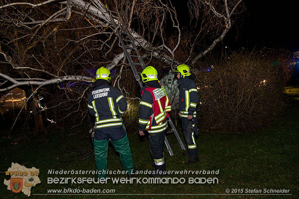 20151201_Sturmeinsatz_Baum auf Fluessiggastank gestuerzt in Baden  Foto: © Stefan Schneider