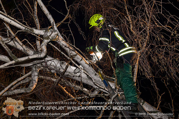 20151201_Sturmeinsatz_Baum auf Fluessiggastank gestuerzt in Baden  Foto: © Stefan Schneider