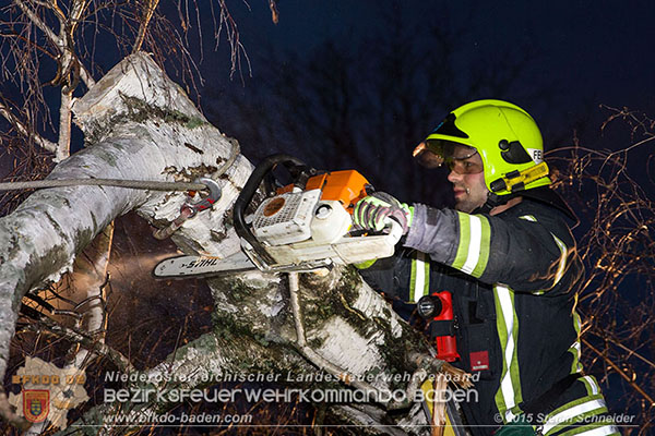 20151201_Sturmeinsatz_Baum auf Fluessiggastank gestuerzt in Baden Foto: © Stefan Schneider 20151201_Sturmeinsatz_Baum auf Fluessiggastank gestuerzt in Baden Foto: © Stefan Schneider
