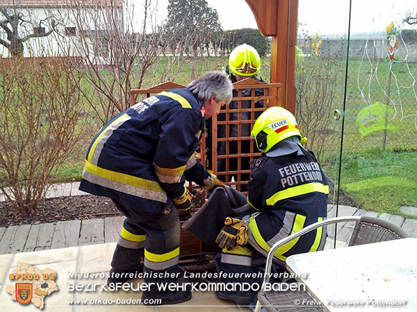 20151220 Feuerwehr Potendorf rettet Greifvogel Foto: © FF Pottendorf 20151220 Feuerwehr Potendorf rettet Greifvogel Foto: © FF Pottendorf