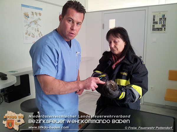 20151220 Feuerwehr Potendorf rettet Greifvogel Foto: © FF Pottendorf 20151220 Feuerwehr Potendorf rettet Greifvogel Foto: © FF Pottendorf