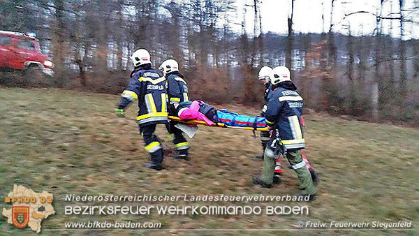 20160101_Technische Hilfeleistung in Siegenfeld Foto: © Roland Wagenhofer FF Siegenfeld 20160101_Technische Hilfeleistung in Siegenfeld Foto: © Roland Wagenhofer FF Siegenfeld