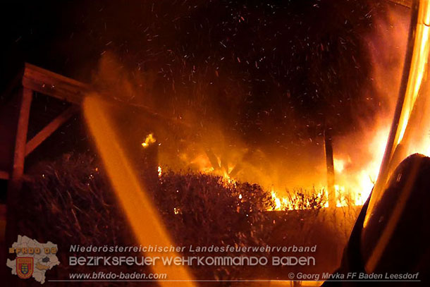20160110 Müllinselbrand in Baden Leesdorf   Foto: © Georg Mrvka FF Baden-Leesdorf