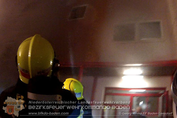 20160110 Müllinselbrand in Baden Leesdorf   Foto: © Georg Mrvka FF Baden-Leesdorf