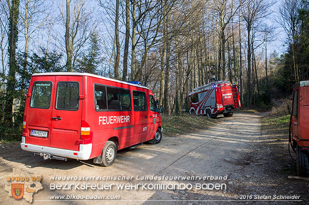 20160314 Tresorbergung aus Waldstück im Gemeindegebiet Maria Raisenmarkt  Foto: © Stefan Schneider