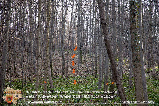 20160314 Tresorbergung aus Waldstück im Gemeindegebiet Maria Raisenmarkt  Foto: © Stefan Schneider