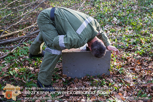 20160314 Tresorbergung aus Waldstück im Gemeindegebiet Maria Raisenmarkt  Foto: © Stefan Schneider