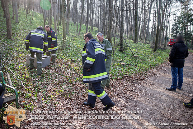 20160314 Tresorbergung aus Waldstück im Gemeindegebiet Maria Raisenmarkt  Foto: © Stefan Schneider
