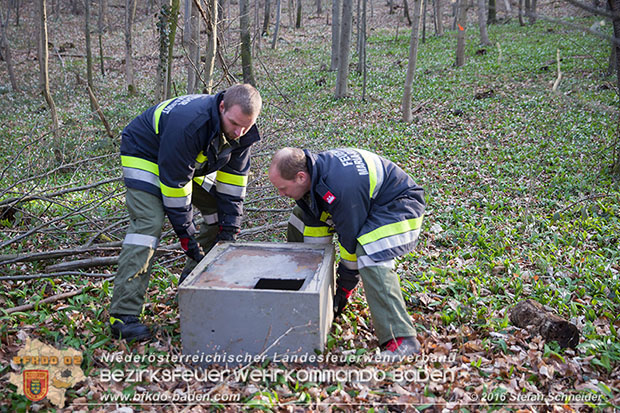 20160314 Tresorbergung aus Waldstück im Gemeindegebiet Maria Raisenmarkt  Foto: © Stefan Schneider