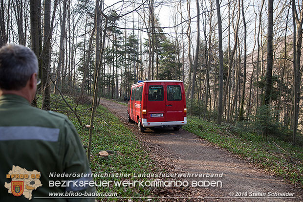 20160314 Tresorbergung aus Waldstück im Gemeindegebiet Maria Raisenmarkt  Foto: © Stefan Schneider