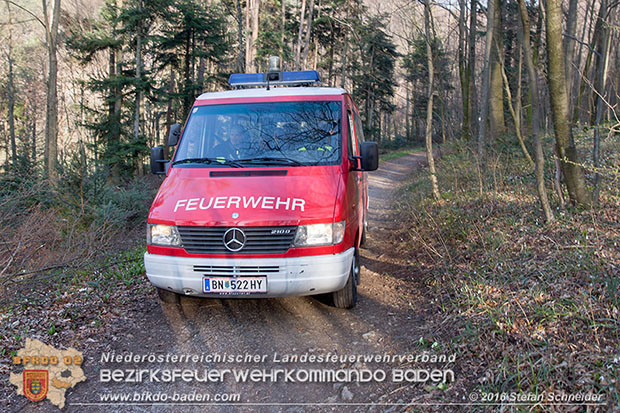 20160314 Tresorbergung aus Waldstück im Gemeindegebiet Maria Raisenmarkt  Foto: © Stefan Schneider