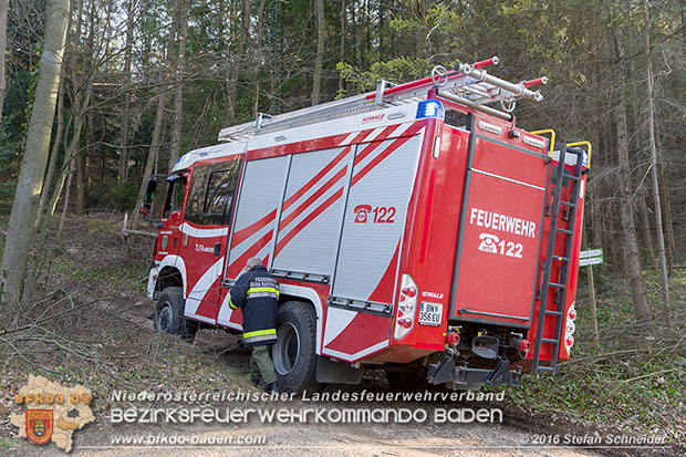 20160314 Tresorbergung aus Waldstück im Gemeindegebiet Maria Raisenmarkt  Foto: © Stefan Schneider