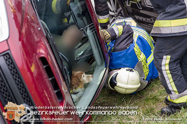 20160325 VU Weinbergstr. Pfaffstätten-Gumpoldskirchen  Foto: © Stefan Schneider