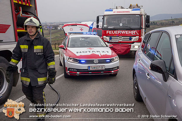 20160325 VU Weinbergstr. Pfaffstätten-Gumpoldskirchen  Foto: © Stefan Schneider