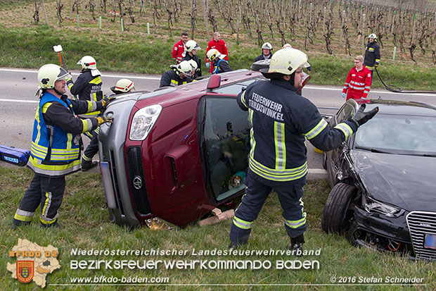 20160325 VU Weinbergstr. Pfaffstätten-Gumpoldskirchen  Foto: © Stefan Schneider
