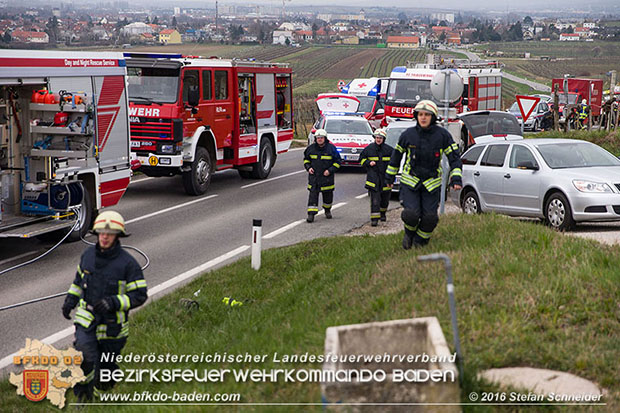 20160325 VU Weinbergstr. Pfaffstätten-Gumpoldskirchen  Foto: © Stefan Schneider