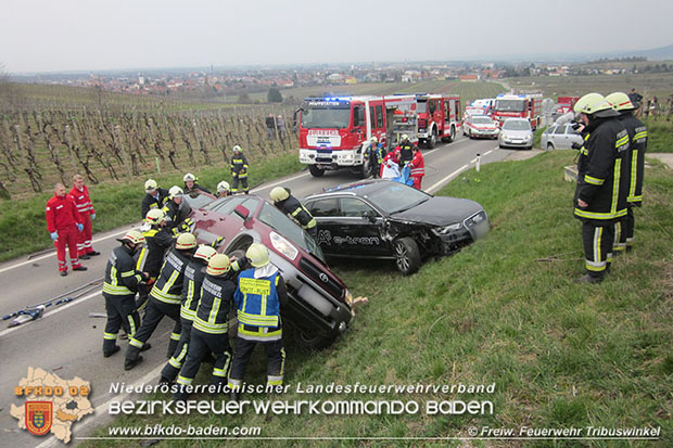 20160325 VU Weinbergstr. Pfaffstätten-Gumpoldskirchen  Foto: © F.Bartmann FF Tribuswinkel