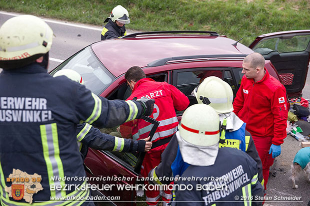 20160325 VU Weinbergstr. Pfaffstätten-Gumpoldskirchen  Foto: © Stefan Schneider