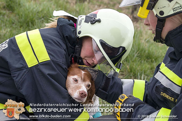 20160325 VU Weinbergstr. Pfaffstätten-Gumpoldskirchen  Foto: © Stefan Schneider