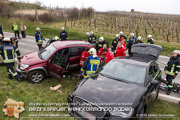 20160325 VU Weinbergstr. Pfaffstätten-Gumpoldskirchen  Foto: © Stefan Schneider