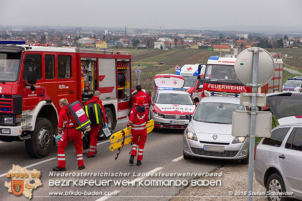 20160325 VU Weinbergstr. Pfaffstätten-Gumpoldskirchen  Foto: © Stefan Schneider