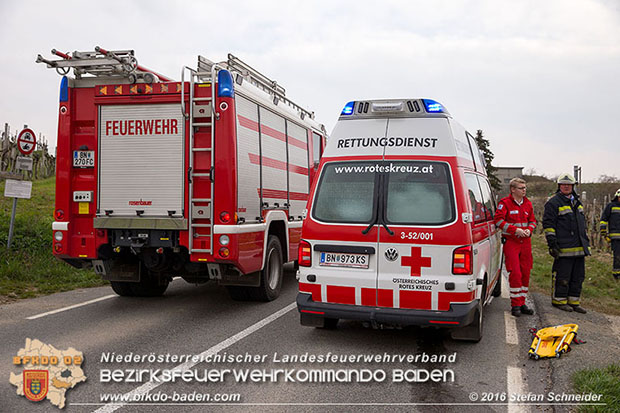 20160325 VU Weinbergstr. Pfaffstätten-Gumpoldskirchen  Foto: © Stefan Schneider