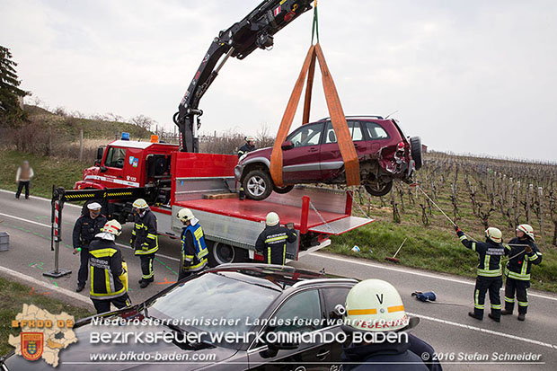 20160325 VU Weinbergstr. Pfaffstätten-Gumpoldskirchen  Foto: © Stefan Schneider