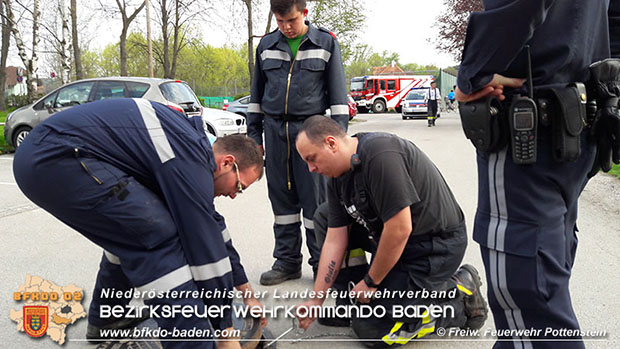 20160413 Umweltalarm Triestingfluss in Pottenstein Foto: © Markus Hackl FF Pottenstein 20160413 Umweltalarm Triestingfluss in Pottenstein Foto: © Markus Hackl FF Pottenstein