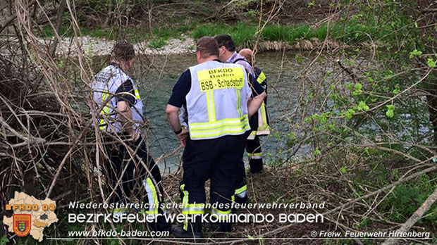 20160413 Umweltalarm Triestingfluss in Pottenstein Foto: © FF Hirtenberg 20160413 Umweltalarm Triestingfluss in Pottenstein Foto: © FF Hirtenberg