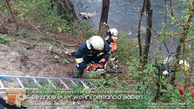 20160418 Pkw landet im Bachbett der Schwechat -Personenrettung  Foto: © Joachim Zagler FF Alland