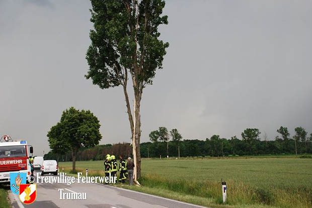 20160609 Blitz schlägt in Baum auf der L156 ein  Foto: © FF Trumau