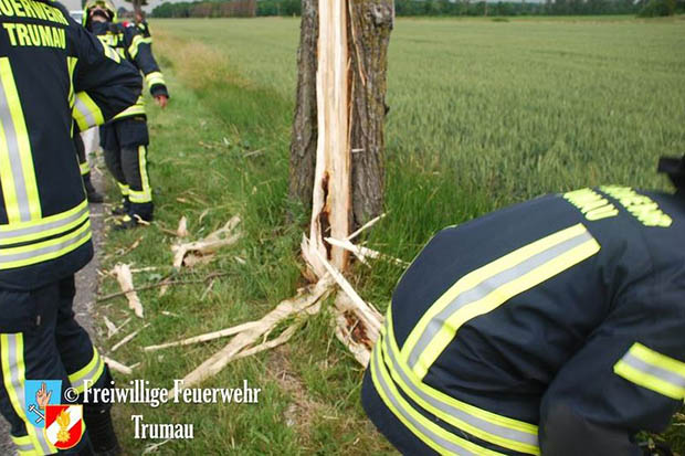 20160609 Blitz schlägt in Baum auf der L156 ein  Foto: © FF Trumau