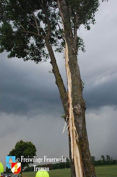 20160609 Blitz schlägt in Baum auf der L156 ein  Foto: © FF Trumau