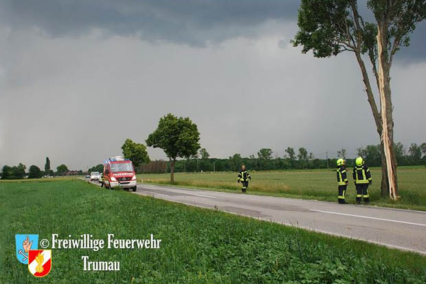 20160609 Blitz schlägt in Baum auf der L156 ein  Foto: © FF Trumau