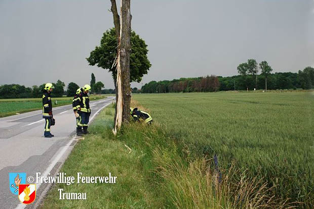 20160609 Blitz schlägt in Baum auf der L156 ein  Foto: © FF Trumau