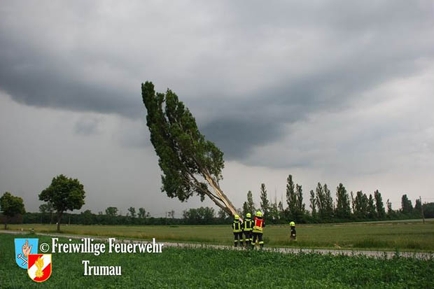 20160609 Blitz schlägt in Baum auf der L156 ein  Foto: © FF Trumau