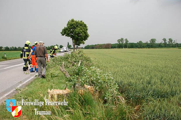 20160609 Blitz schlägt in Baum auf der L156 ein  Foto: © FF Trumau