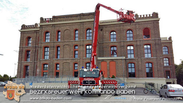 20160621 Bienenvolk von Hausfassade in Pottendorf entfernt  Foto: © FF Pottendorf