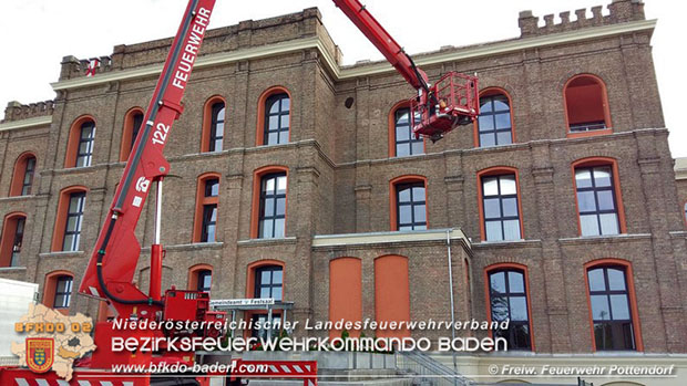 20160621 Bienenvolk von Hausfassade in Pottendorf entfernt Foto: © FF Pottendorf 20160621 Bienenvolk von Hausfassade in Pottendorf entfernt Foto: © FF Pottendorf