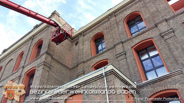 20160621 Bienenvolk von Hausfassade in Pottendorf entfernt Foto: © FF Pottendorf 20160621 Bienenvolk von Hausfassade in Pottendorf entfernt Foto: © FF Pottendorf