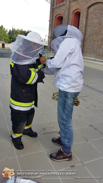 20160621 Bienenvolk von Hausfassade in Pottendorf entfernt Foto: © FF Pottendorf 20160621 Bienenvolk von Hausfassade in Pottendorf entfernt Foto: © FF Pottendorf