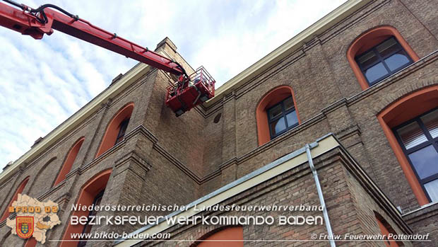 20160621 Bienenvolk von Hausfassade in Pottendorf entfernt Foto: © FF Pottendorf 20160621 Bienenvolk von Hausfassade in Pottendorf entfernt Foto: © FF Pottendorf