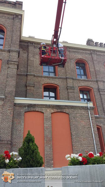20160621 Bienenvolk von Hausfassade in Pottendorf entfernt Foto: © FF Pottendorf 20160621 Bienenvolk von Hausfassade in Pottendorf entfernt Foto: © FF Pottendorf