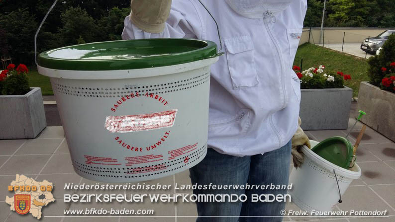 20160621 Bienenvolk von Hausfassade in Pottendorf entfernt Foto: © FF Pottendorf 20160621 Bienenvolk von Hausfassade in Pottendorf entfernt Foto: © FF Pottendorf