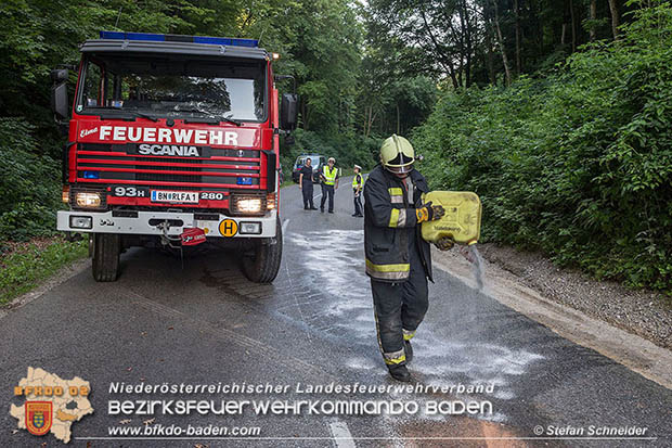 20160623 VU L4010 Pfaffstätten-Gaaden  Foto: © Stefan Schneider